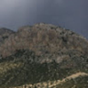 Meet your Posher, Jasmin